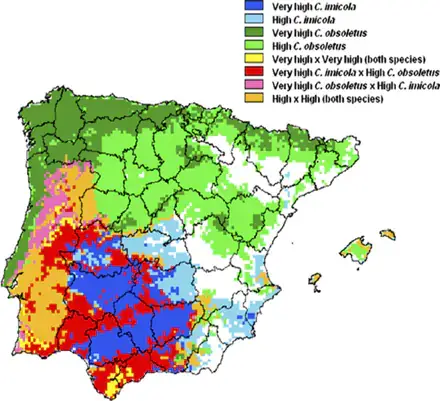 Mapa resultado de la expansión de EHE