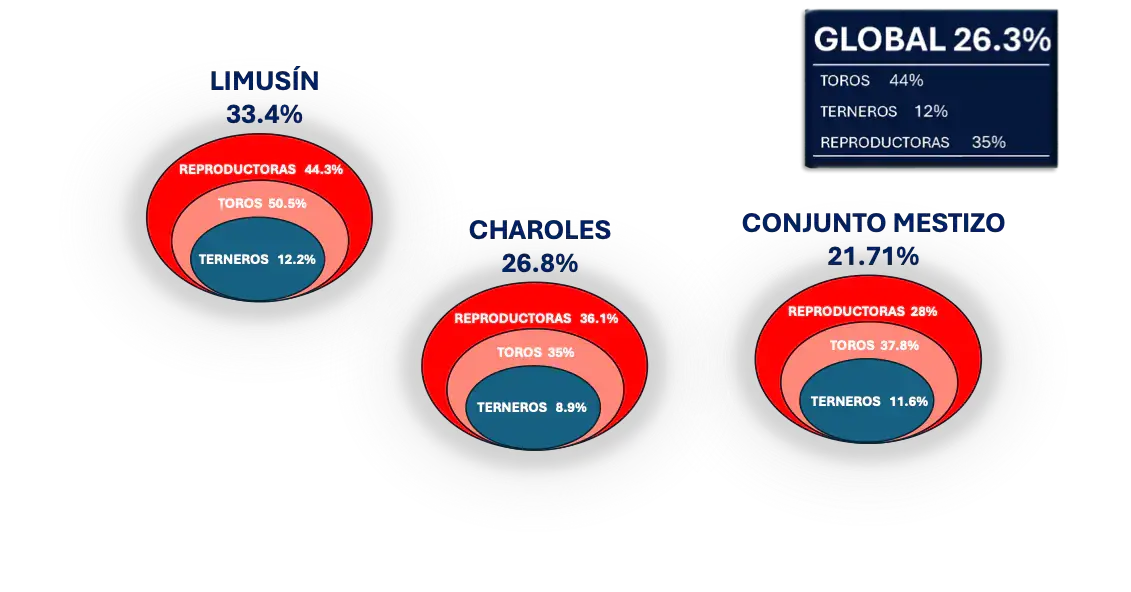 Gráfico sobre la prevalencia de enfermedades en explotaciones bovinas de la provincia de Salamanca