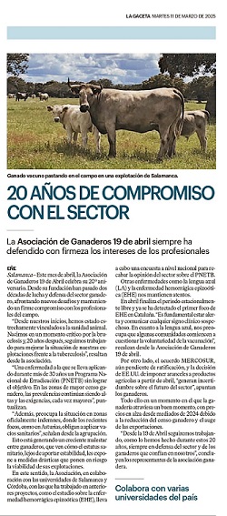 Imagen de un periódico