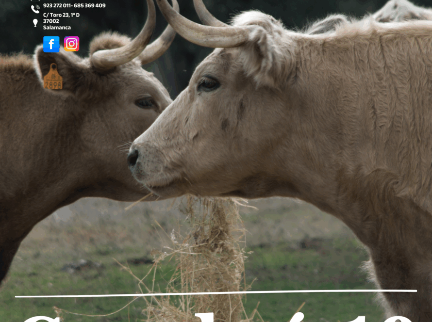 Póster de la asociación de ganaderos 19 de abril