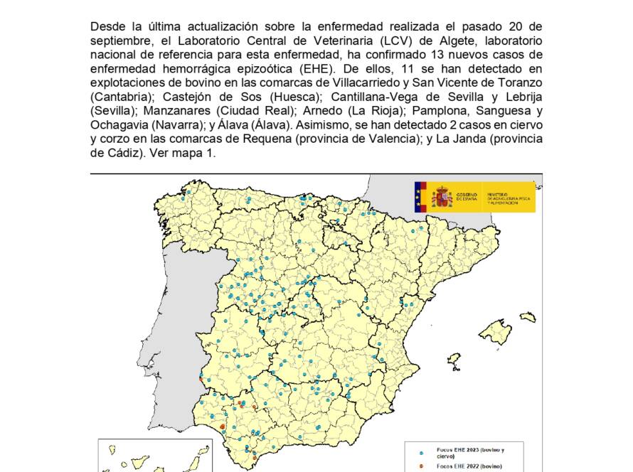 Imagen con información sobre la situación de la enfermedad hemorrágica epizoótica