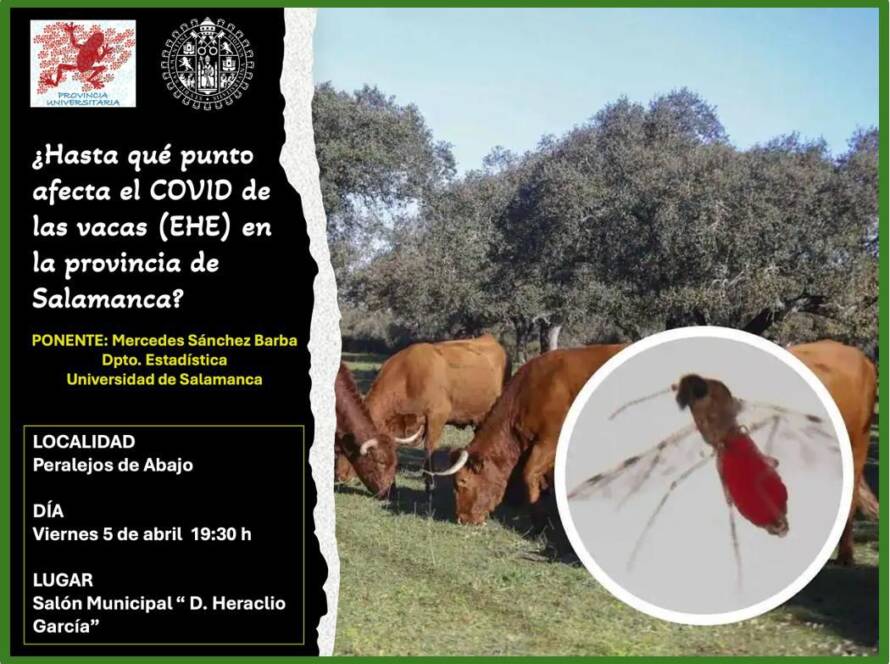 Folleto sobre la enfermedad hemorrágica epizoófica (EHE)