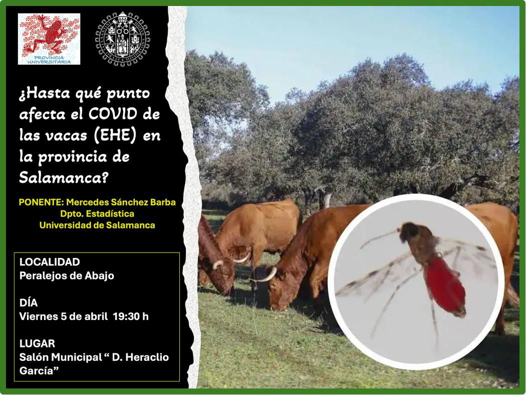 Folleto sobre la enfermedad hemorrágica epizoófica (EHE)