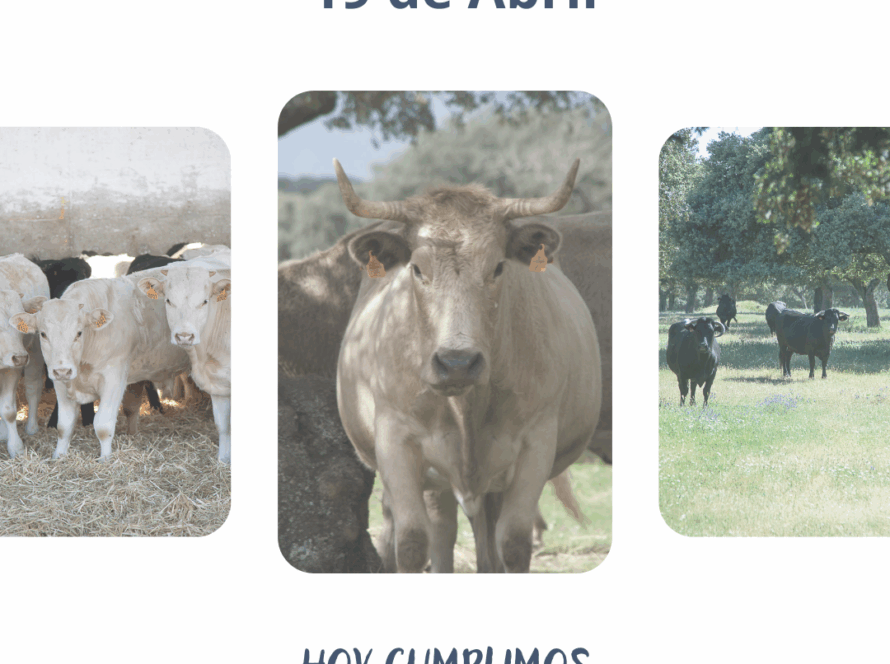 Folleto Asociación Ganaderos cumple 19 años