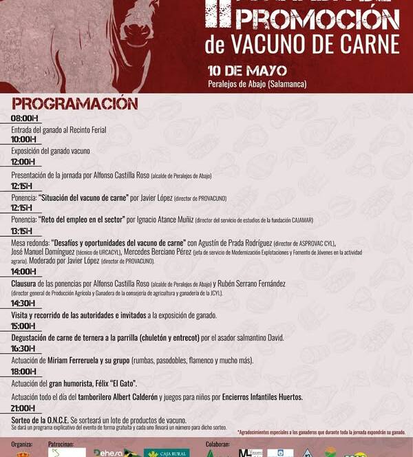 Folleto sobre la jornada de promoción de vacuno de carne