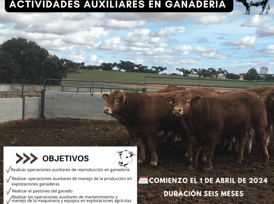 Folleto con información de formación y empleo en actividades auxiliares de ganadería