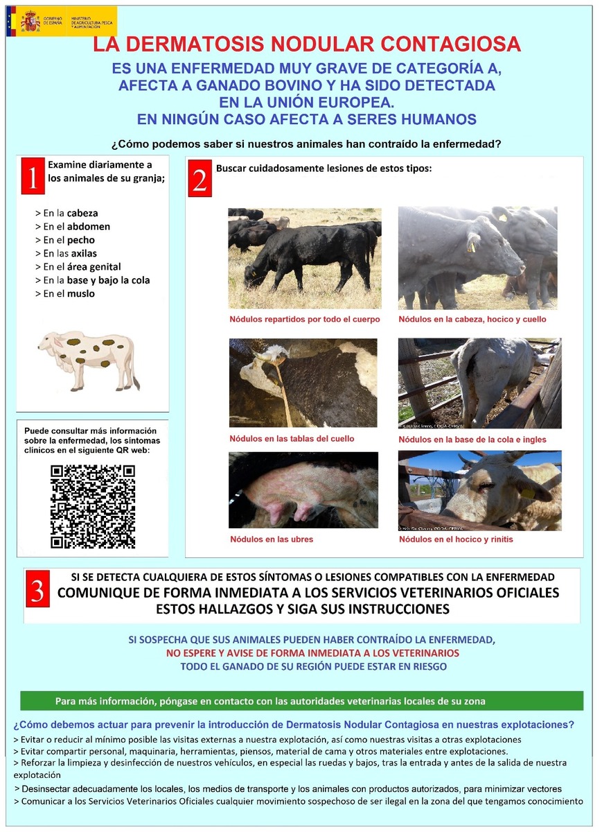 Folleto explicativo de la dermatosis nodular contagiosa