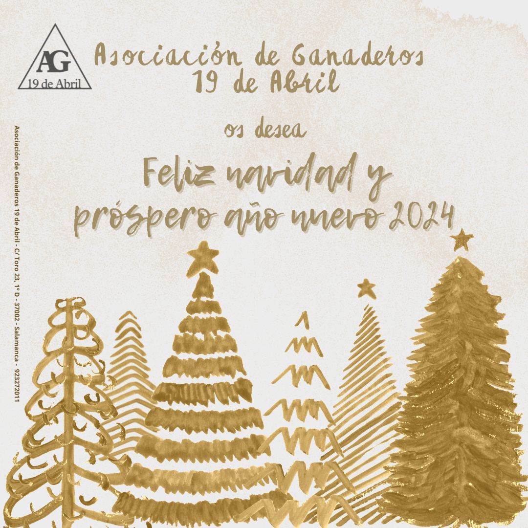 Folleto deseando feliz Navidad 2024