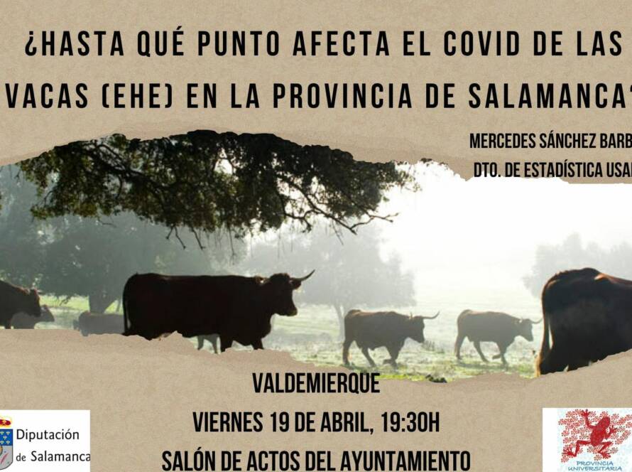 Folleto sobre la EHE en Valdemierque, Salamanca