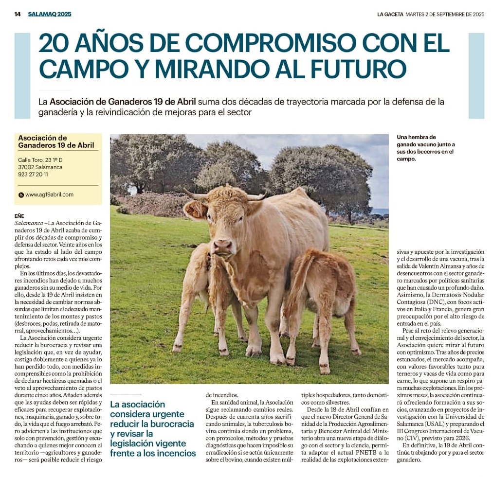 Imagen del periódico de SalamaQ