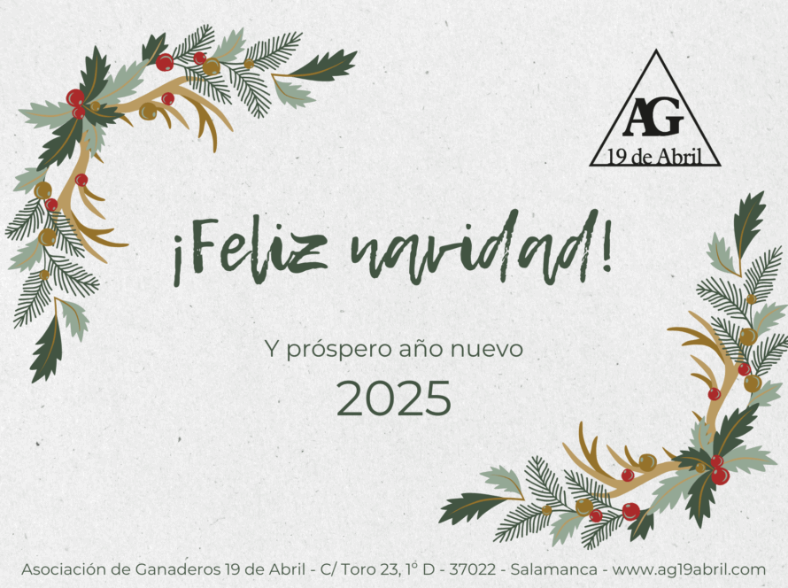 Imagen deseando feliz Navidad del año 2025