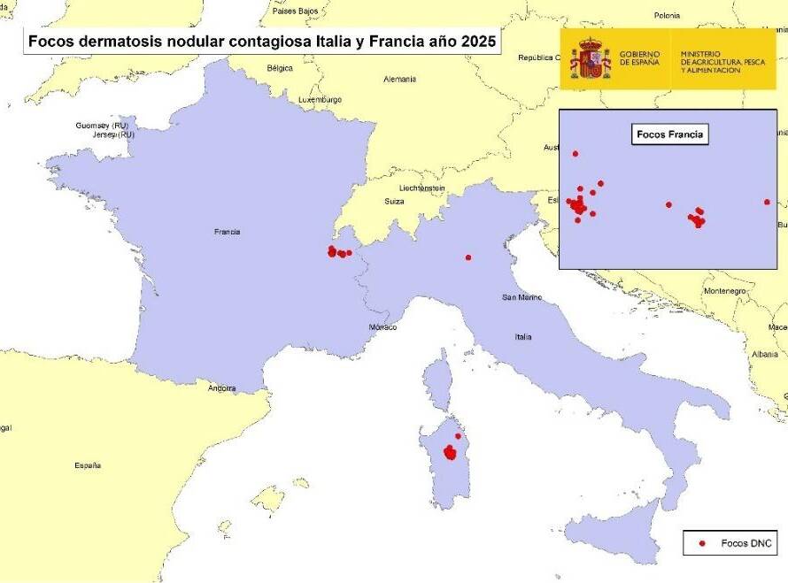 Mapa de Italia y Francia con focos de dermatosis nodular contagiosa