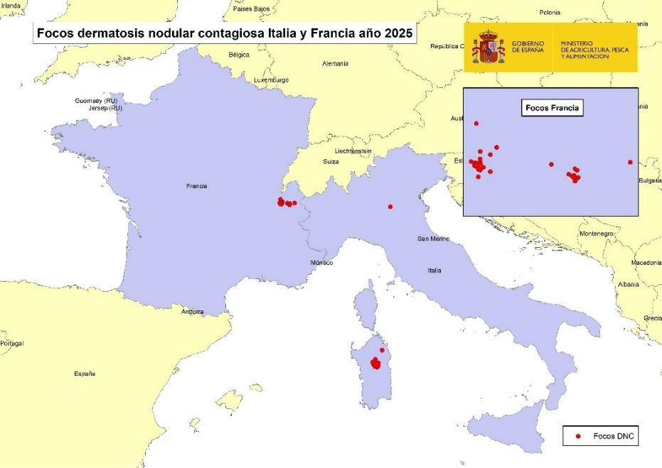 Mapa de Italia y Francia con focos de dermatosis nodular contagiosa