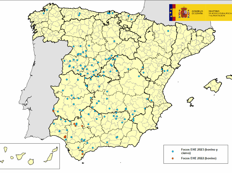 Mapa de España indicando las zonas afectadas por EHE