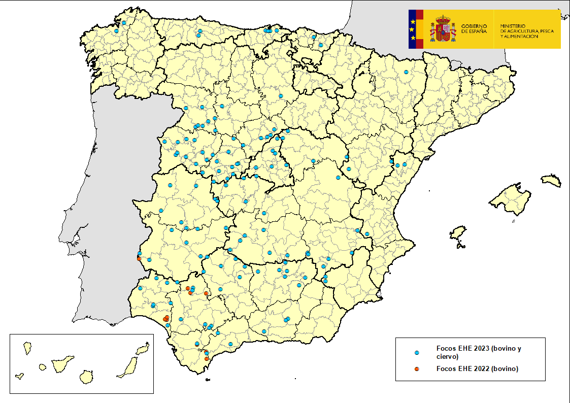 Mapa de España indicando las zonas afectadas por EHE