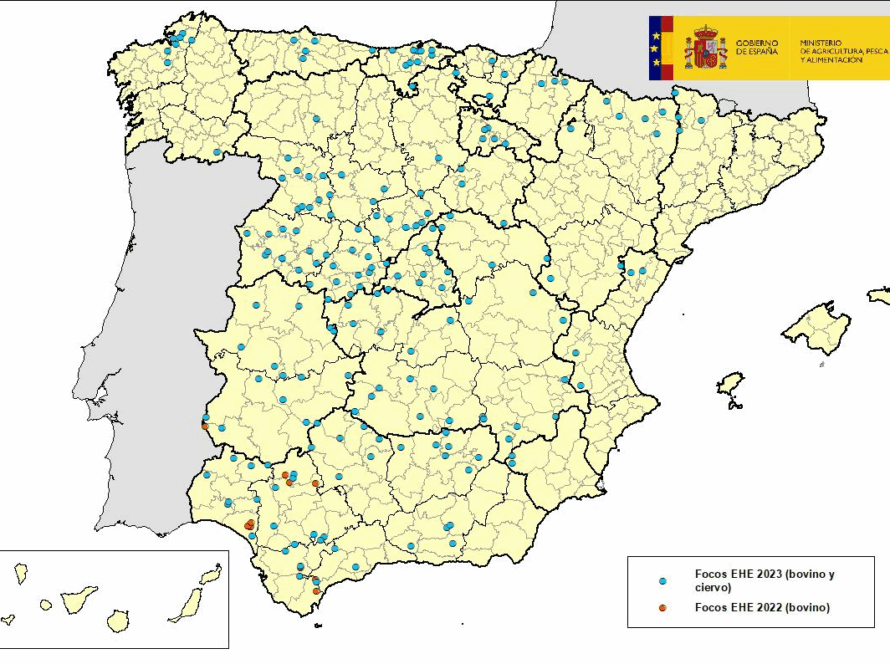 Mapa de España indicando las zonas afectadas por EHE