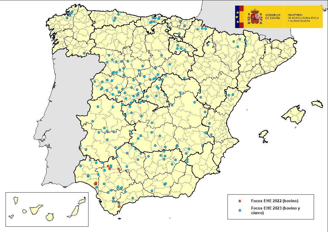 Mapa indicando las zonas afectadas por EHE