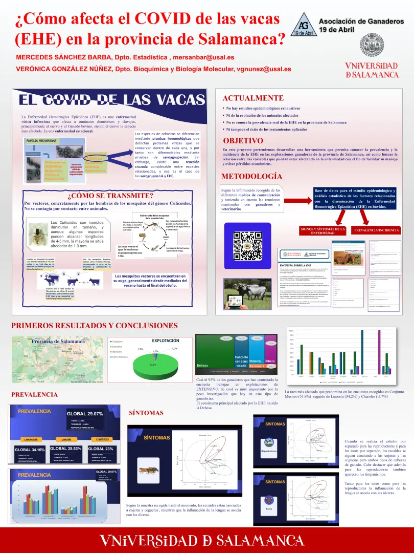 Póster de la provincia universitaria