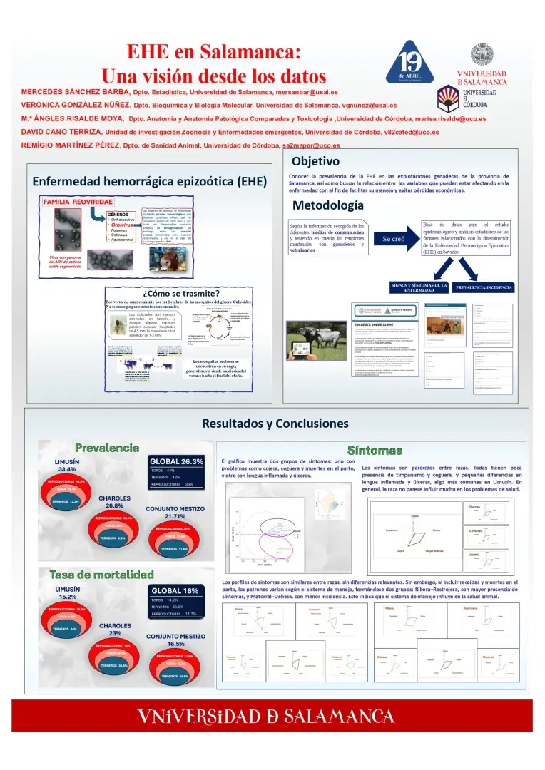 Póster de la provincia universitaria de SalamaQ