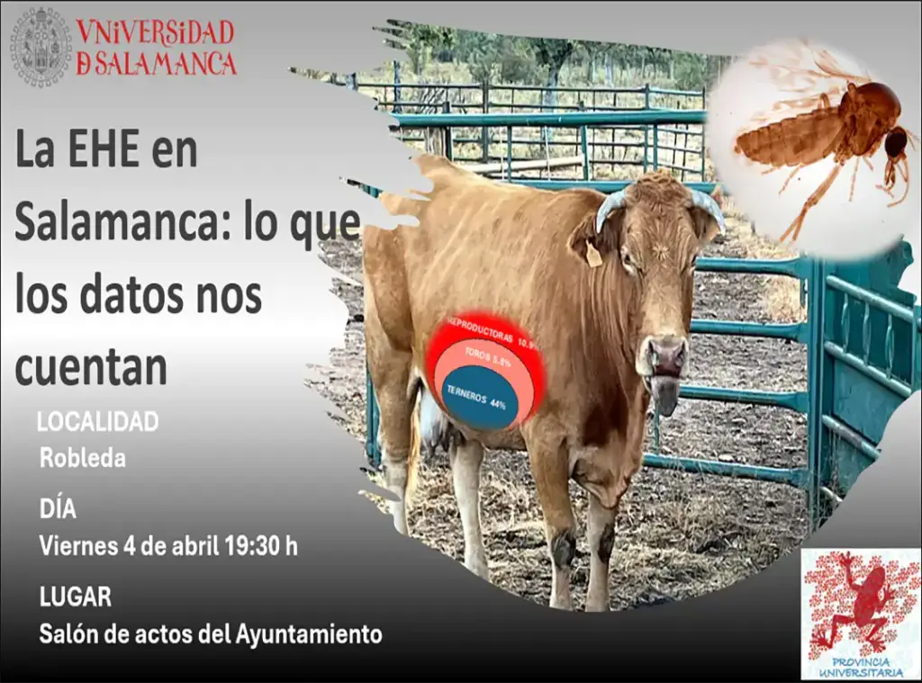 Poster de la Robleda