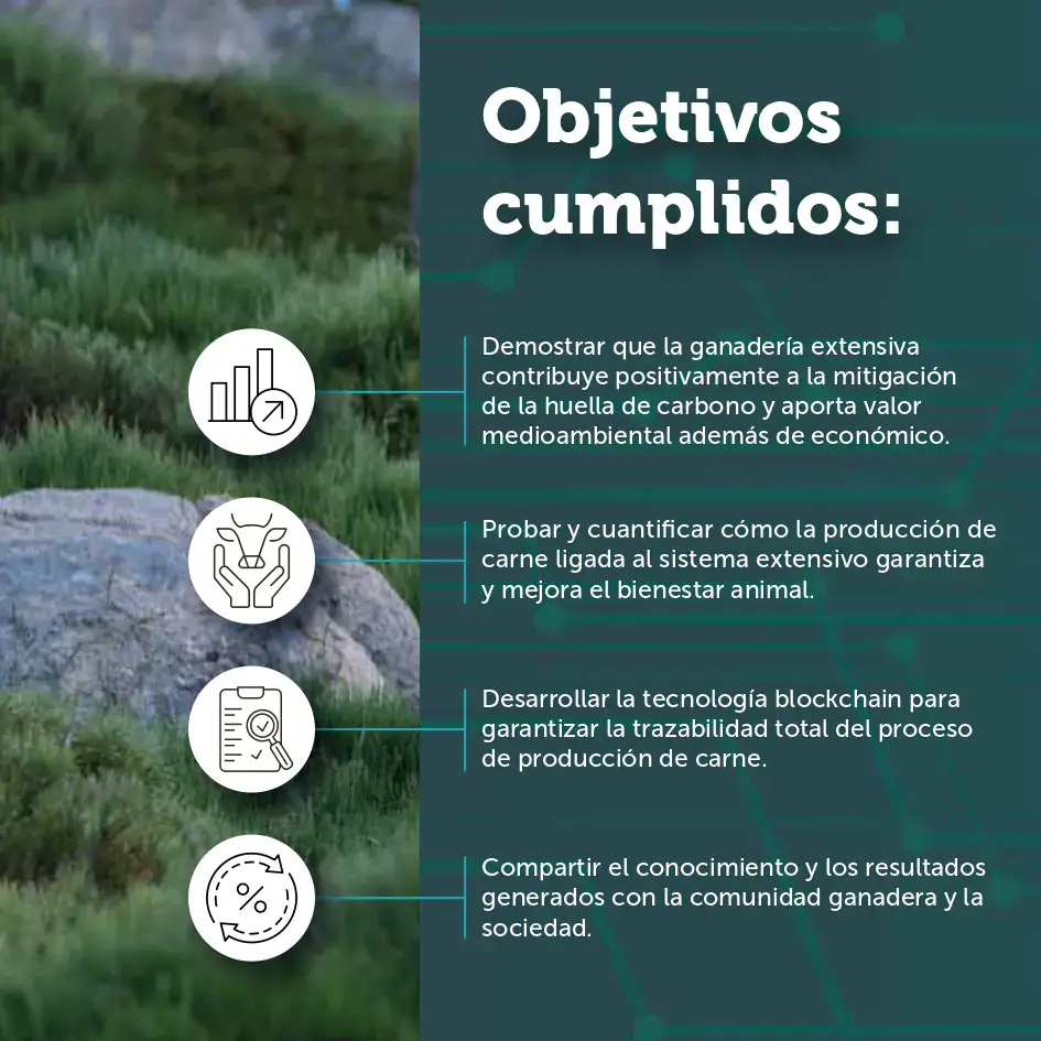 Descripción de objetivos cumplidos por Sostvan