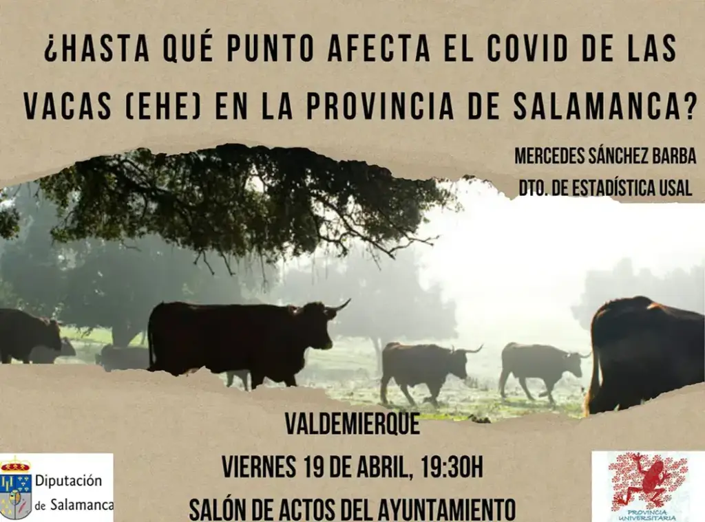 Poster de Valdemierque