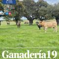 Nuevo número de GANADERÍA19